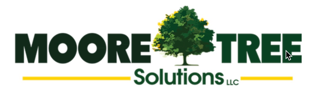 Moore Tree solutions business image in Athens, GA